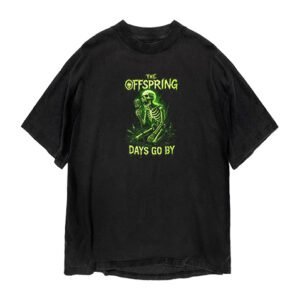 The Offspring - Days Go By