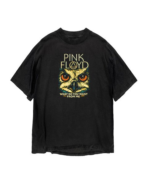 Pink Floyd - What Do You Want From Me aorockmetal www.uories.com 4 1